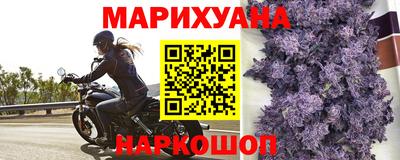 спиды Краснодар