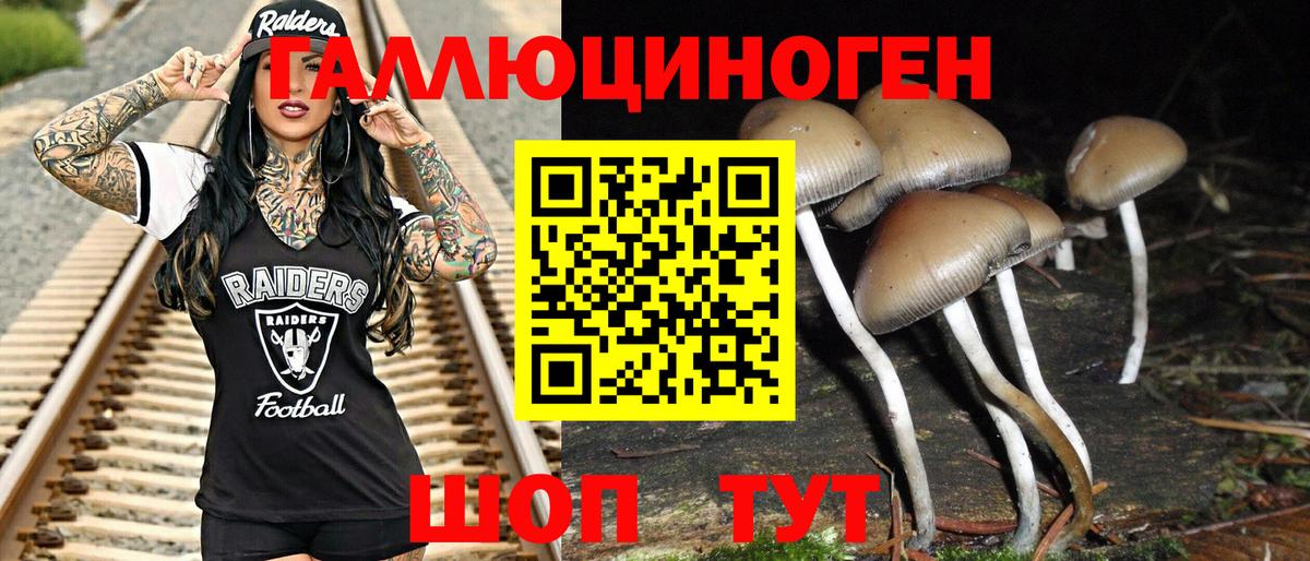 Кировск  Галлюциногенные грибы Psilocybe  Вход с VPN  продажа наркотиков  Псилоцибиновые грибы Magic Shrooms 